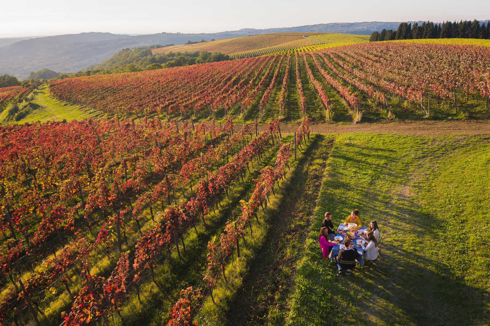 F013638 077973 Sto Aktivnosti V Istri Foto Jaka Ivancic Photo M (1)